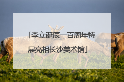 李立诞辰一百周年特展亮相长沙美术馆