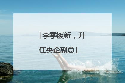 李季履新，升任央企副总