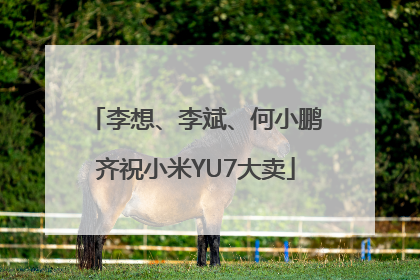 李想、李斌、何小鹏齐祝小米YU7大卖