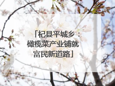 杞县平城乡：橄榄菜产业铺就富民新道路