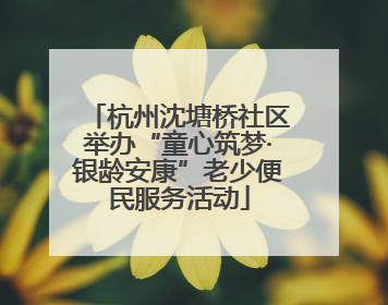 杭州沈塘桥社区举办“童心筑梦·银龄安康”老少便民服务活动