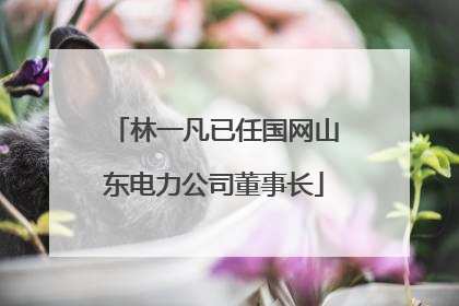 林一凡已任国网山东电力公司董事长