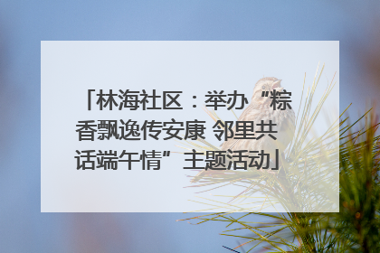 林海社区：举办“粽香飘逸传安康 邻里共话端午情”主题活动