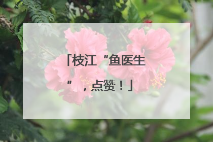 枝江“鱼医生”，点赞！