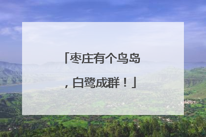枣庄有个鸟岛，白鹭成群！