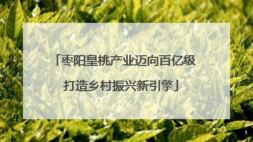 枣阳皇桃产业迈向百亿级 打造乡村振兴新引擎