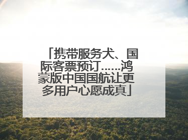 携带服务犬、国际客票预订……鸿蒙版中国国航让更多用户心愿成真