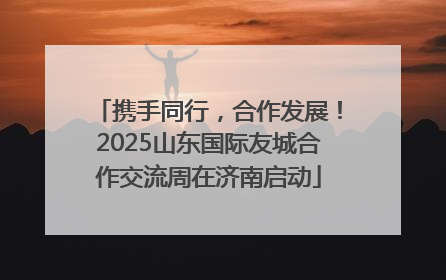 携手同行，合作发展！2025山东国际友城合作交流周在济南启动