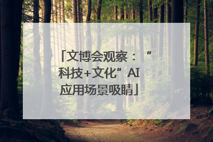 文博会观察：“科技+文化”AI应用场景吸睛