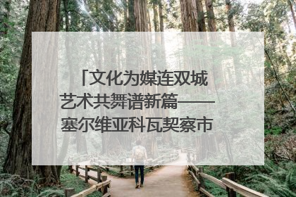 文化为媒连双城 艺术共舞谱新篇——塞尔维亚科瓦契察市代表团访问日照
