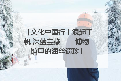 文化中国行丨浪起千帆 深蓝宝藏——博物馆里的海丝遗珍