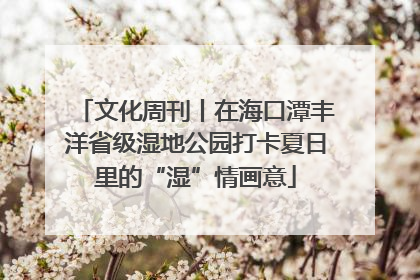 文化周刊丨在海口潭丰洋省级湿地公园打卡夏日里的“湿”情画意
