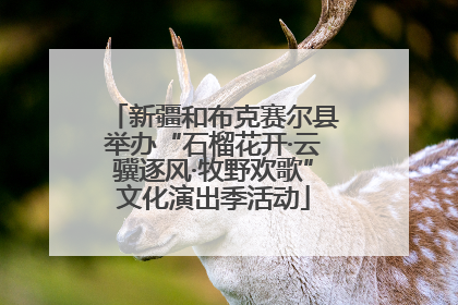 新疆和布克赛尔县举办“石榴花开·云骥逐风·牧野欢歌”文化演出季活动
