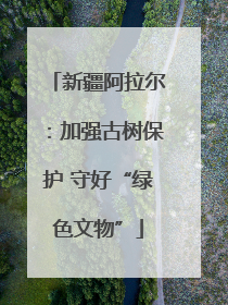 新疆阿拉尔：加强古树保护 守好“绿色文物”