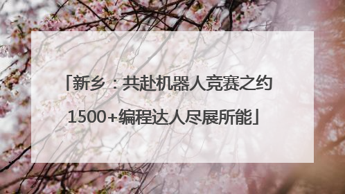 新乡：共赴机器人竞赛之约 1500+编程达人尽展所能