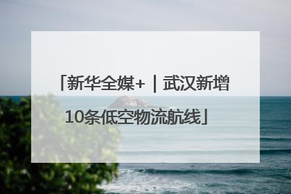 新华全媒+｜武汉新增10条低空物流航线