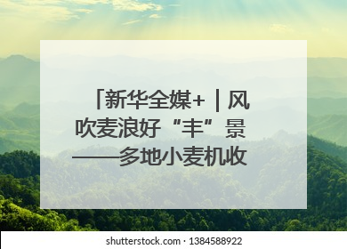 新华全媒+｜风吹麦浪好“丰”景——多地小麦机收一线见闻