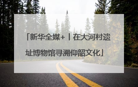 新华全媒+丨在大河村遗址博物馆寻溯仰韶文化