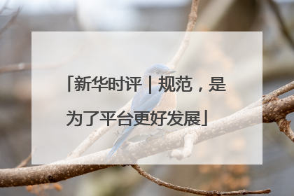 新华时评｜规范，是为了平台更好发展
