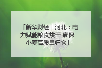 新华财经｜河北：电力赋能粮食烘干 确保小麦高质量归仓