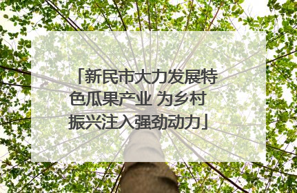 新民市大力发展特色瓜果产业 为乡村振兴注入强劲动力