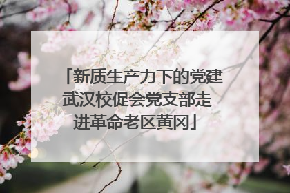 新质生产力下的党建 武汉校促会党支部走进革命老区黄冈