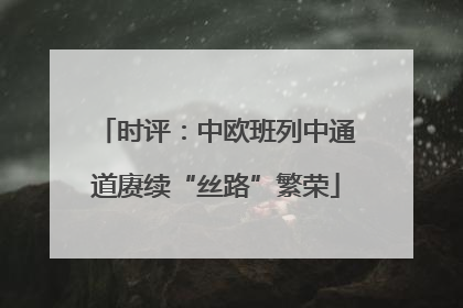 时评：中欧班列中通道赓续“丝路”繁荣