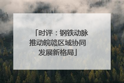 时评：钢铁动脉推动皖赣区域协同发展新格局