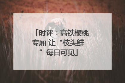 时评：高铁樱桃专厢 让“枝头鲜”每日可见