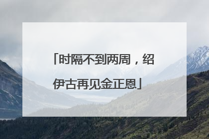 时隔不到两周，绍伊古再见金正恩