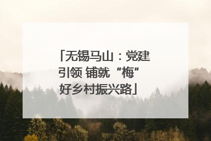无锡马山：党建引领 铺就“梅”好乡村振兴路