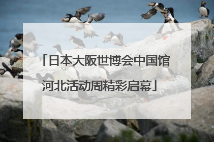 日本大阪世博会中国馆河北活动周精彩启幕