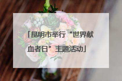 昆明市举行“世界献血者日”主题活动
