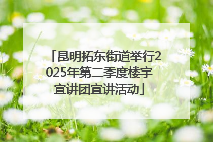 昆明拓东街道举行2025年第二季度楼宇宣讲团宣讲活动