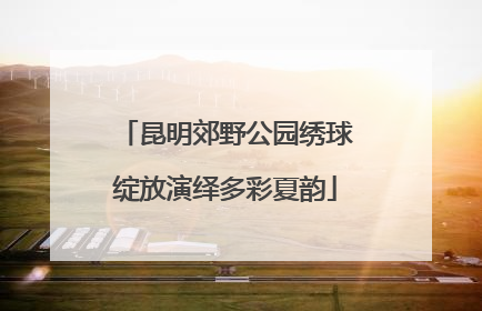 昆明郊野公园绣球绽放演绎多彩夏韵