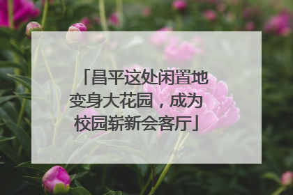 昌平这处闲置地变身大花园，成为校园崭新会客厅