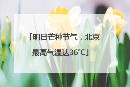 明日芒种节气，北京最高气温达36℃