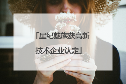 星纪魅族获高新技术企业认定