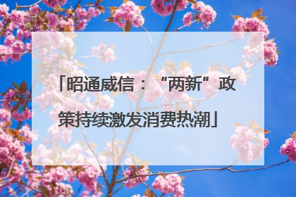 昭通威信：“两新”政策持续激发消费热潮