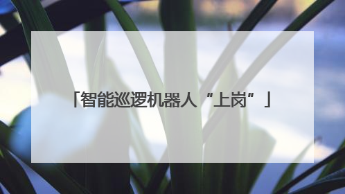 智能巡逻机器人“上岗”