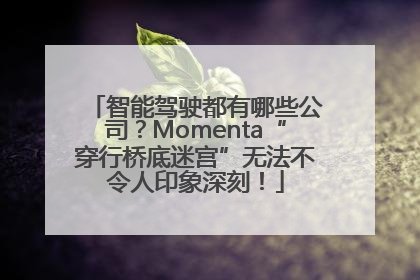 智能驾驶都有哪些公司？Momenta“穿行桥底迷宫”无法不令人印象深刻！