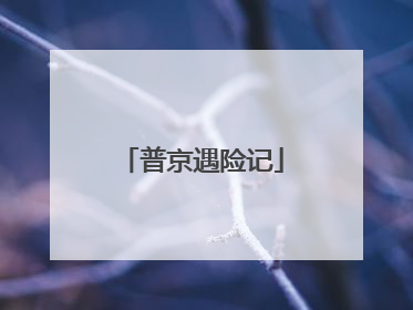 普京遇险记