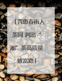 普惠春雨入茶园 润出“湘”茶高质量致富路