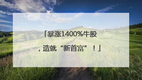 暴涨1400%牛股，造就“新首富”！