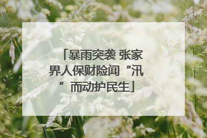 暴雨突袭 张家界人保财险闻“汛”而动护民生