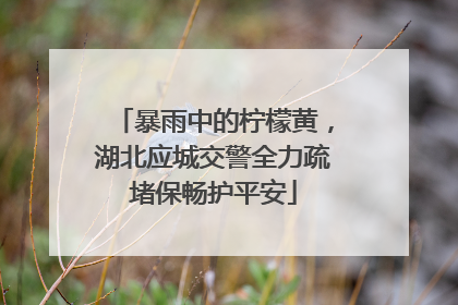 暴雨中的柠檬黄，湖北应城交警全力疏堵保畅护平安