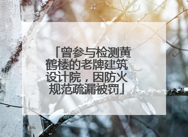 曾参与检测黄鹤楼的老牌建筑设计院，因防火规范疏漏被罚