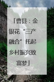 曹县：金银花“三产融合”托起乡村振兴致富梦