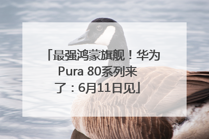 最强鸿蒙旗舰！华为Pura 80系列来了：6月11日见