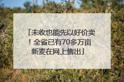 未收也能先以好价卖！全省已有70多万亩新麦在网上售出